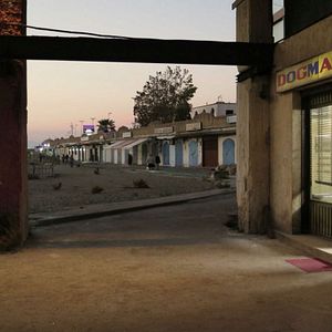 Photo Dogman