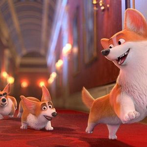 Photo Royal Corgi