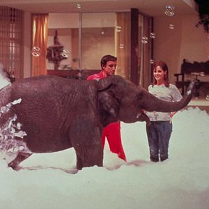 Photo Claudine Longet