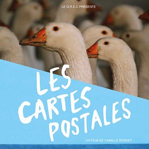 Photo Les Cartes postales
