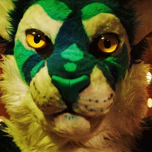 Photo The Tiger