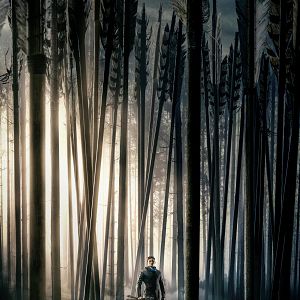 Photo Robin des Bois