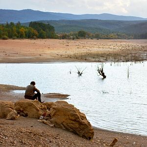 Photo Le Poirier sauvage