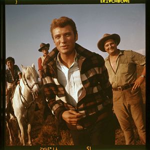 Photo Johnny Hallyday