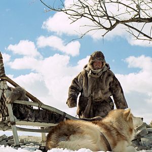 Photo Mikhail Aprosimov