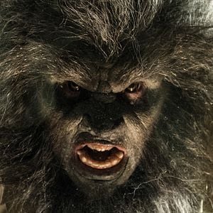 Photo Another WolfCop