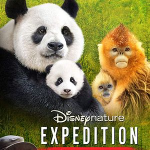 Photo Nés en Chine : Histoires d’un tournage