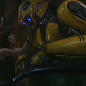 Photo Bumblebee