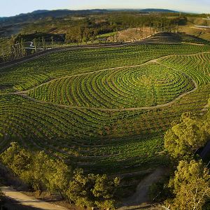 Photo Tout est possible (The biggest little farm)