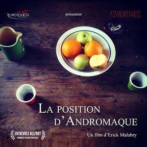 Photo La Position d'Andromaque