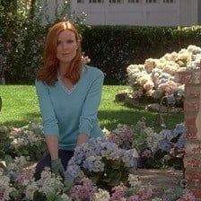 Photo Desperate Housewives
