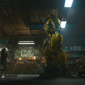 Photo Bumblebee