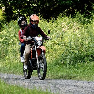 Photo Aux Animaux la guerre