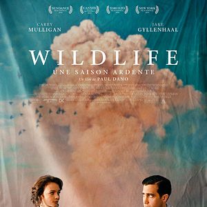 Photo Wildlife - Une saison ardente