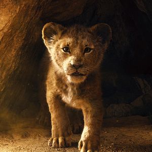 Photo Le Roi Lion