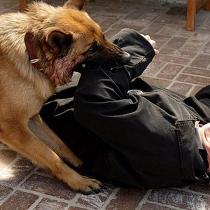 Photo NCIS : Enquêtes spéciales