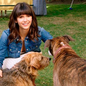 Photo Dog Days