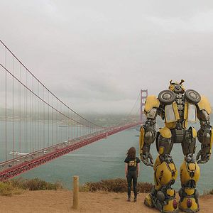 Photo Bumblebee