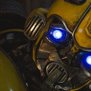 Photo Bumblebee