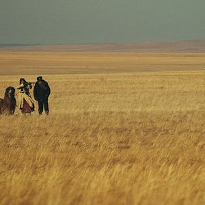 Photo La Femme des steppes, le flic et l'oeuf