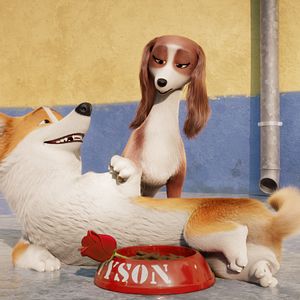 Photo Royal Corgi