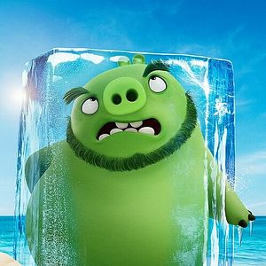 Photo Angry Birds : Copains comme cochons