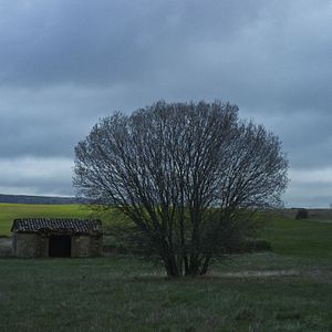 Photo Face au vent