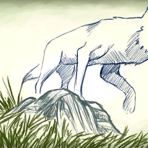 Photo Loups tendres et loufoques