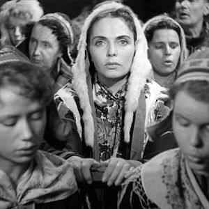 Photo Le Renne blanc