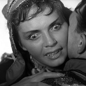 Photo Le Renne blanc