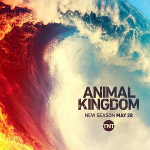 Photo Animal Kingdom