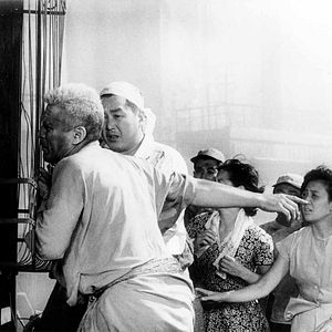Photo Rétrospective Akira Kurosawa - Partie 2