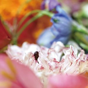 Photo Grand Bouquet