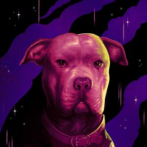 Photo John Wick Parabellum