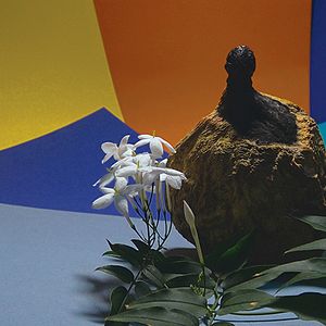 Photo Être vivant et le savoir