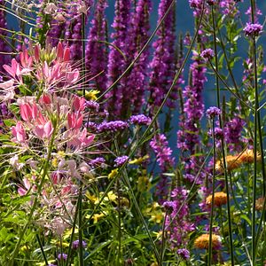 Photo Le Jardin Des Cimes - Une Enclave En Altitude