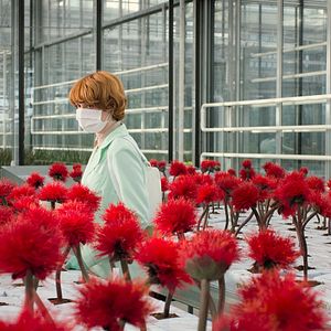 Photo Emily Beecham