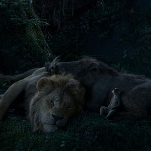 Photo Le Roi Lion