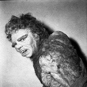 Photo L'Homme aux mille visages