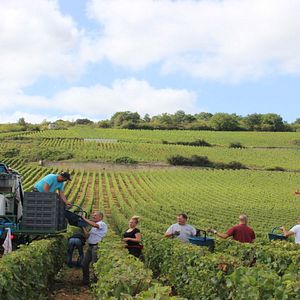 Photo L'Âme du vin