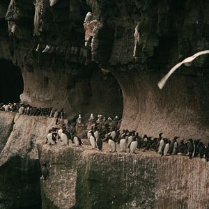 Photo Le Territoire des autres