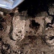 Photo X-Files