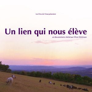 Photo Un lien qui nous élève