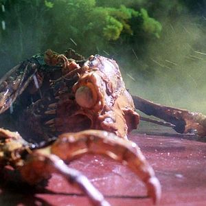 Photo Gremlins