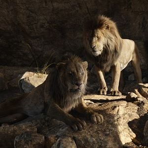 Photo Le Roi Lion