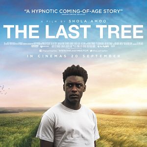 Photo The Last Tree