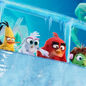 Photo Angry Birds : Copains comme cochons