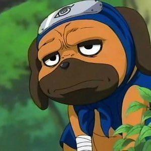 Photo Naruto