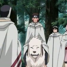 Photo Naruto Shippuden