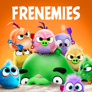 Photo Angry Birds : Copains comme cochons